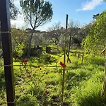 Quinta Ivonne אכסניה