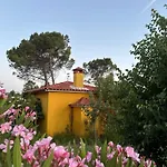Quinta Ivonne