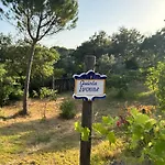 Quinta Ivonne אכסניה