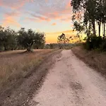 Quinta Ivonne