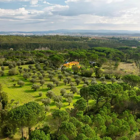 Quinta Ivonne Lodge Montemor-o-Velho