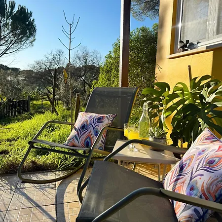 Quinta Ivonne 山林小屋