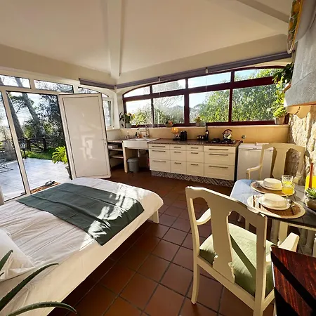 Lodge Quinta Ivonne Montemor-o-Velho