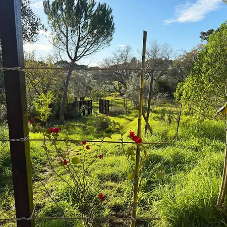 Quinta Ivonne Lodge