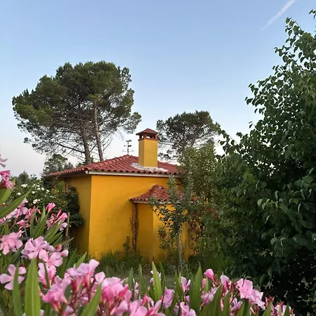 Quinta Ivonne