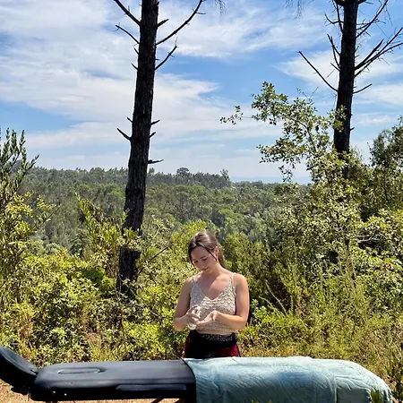 Quinta Ivonne אכסניה מונטמור-או-וליו