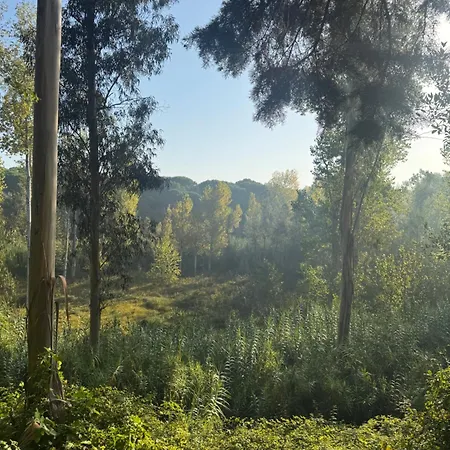Quinta Ivonne Montemor-o-Velho