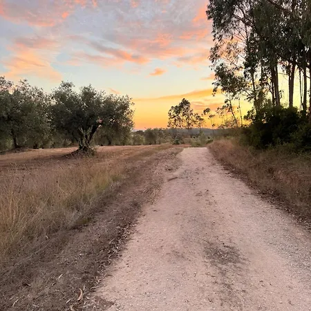 Quinta Ivonne
