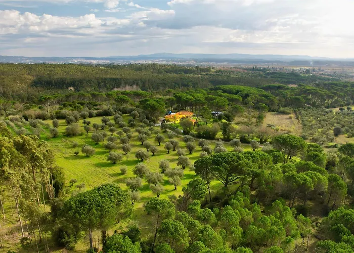Quinta Ivonne אכסניה מונטמור-או-וליו