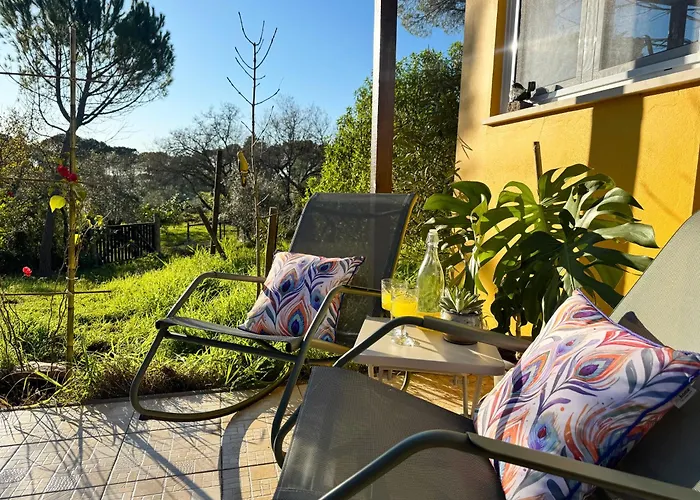 Quinta Ivonne 山林小屋