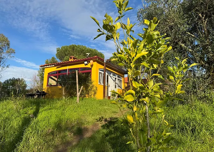 Quinta Ivonne Montemor-o-Velho