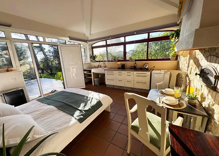 Lodge Quinta Ivonne Montemor-o-Velho