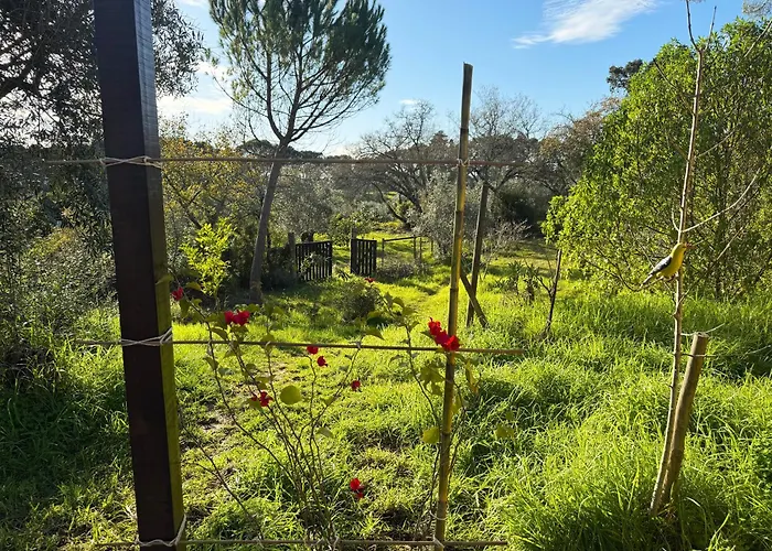 Quinta Ivonne אכסניה