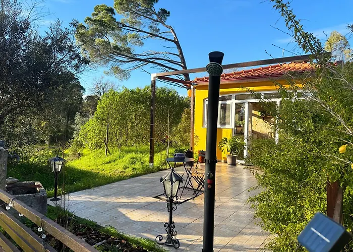 Quinta Ivonne