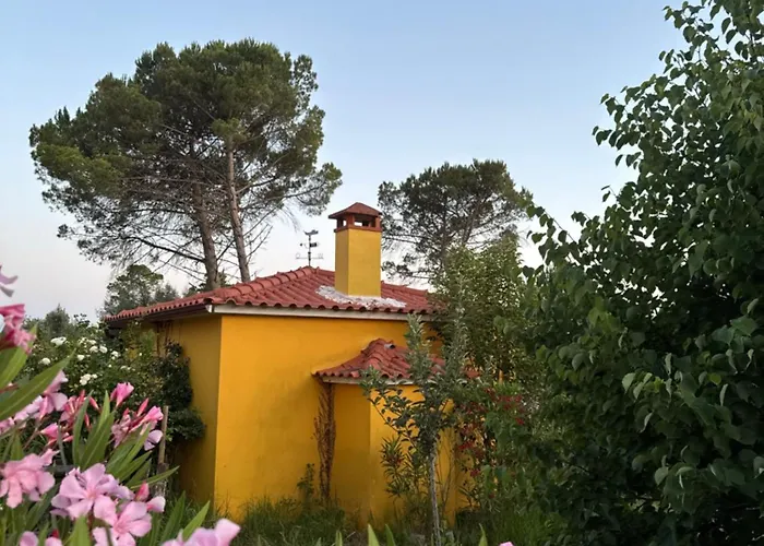 Quinta Ivonne