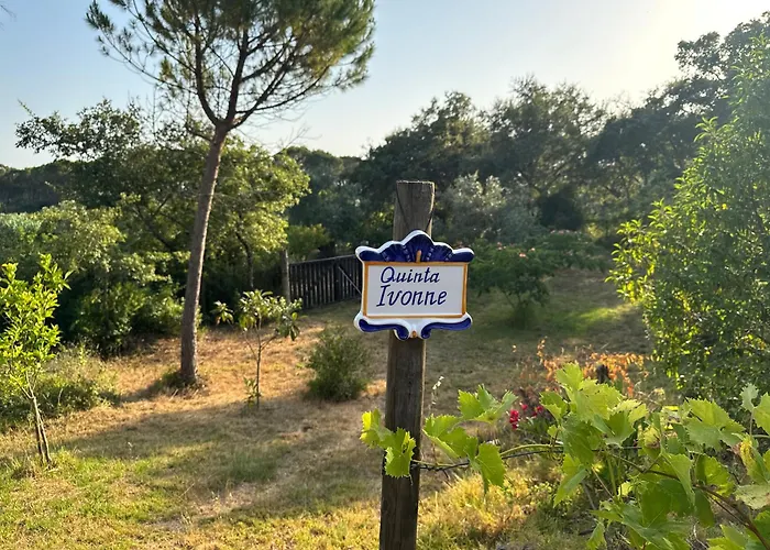 Quinta Ivonne 山林小屋