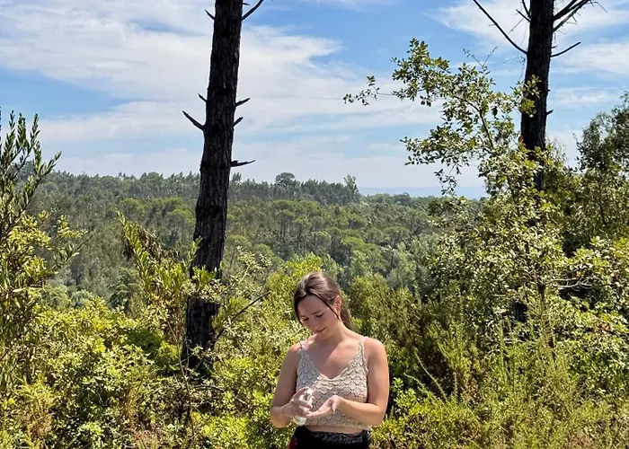 Quinta Ivonne 山林小屋 旧蒙特莫尔