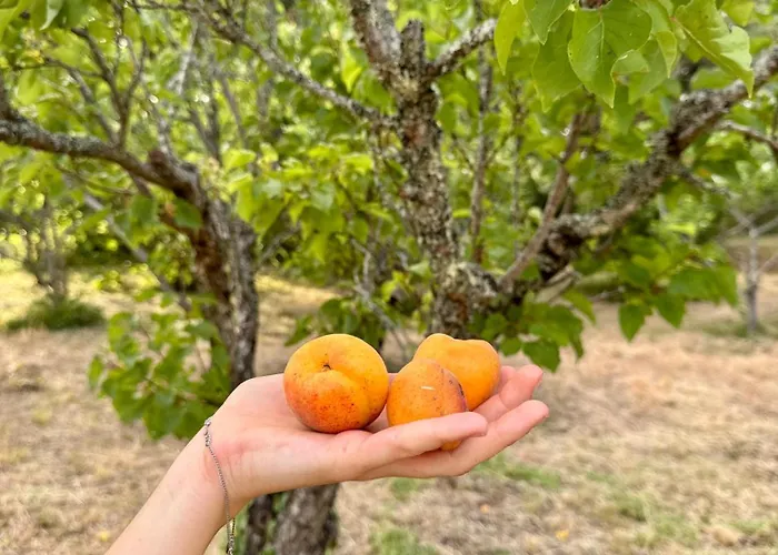 Quinta Ivonne אכסניה