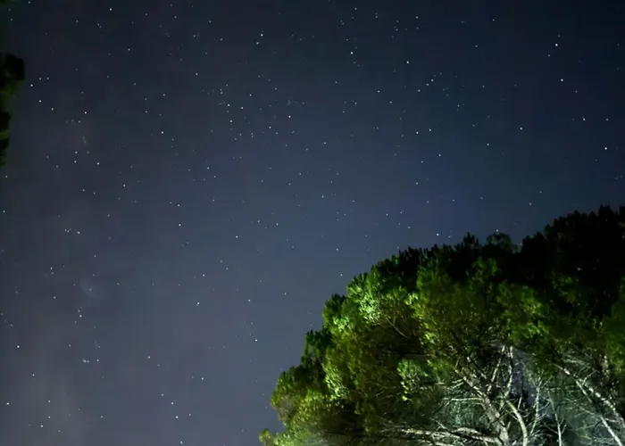 Quinta Ivonne Lodge *