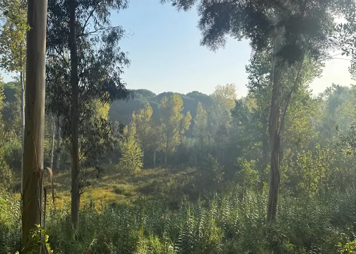 Quinta Ivonne 旧蒙特莫尔